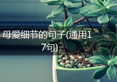 母爱细节的句子(通用17句)