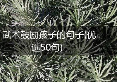 武术鼓励孩子的句子(优选50句)