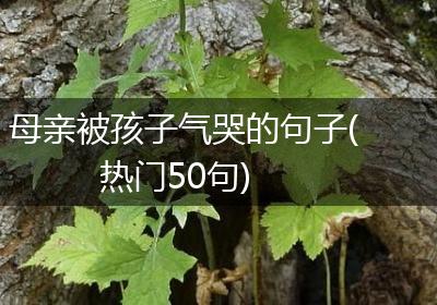 母亲被孩子气哭的句子(热门50句)