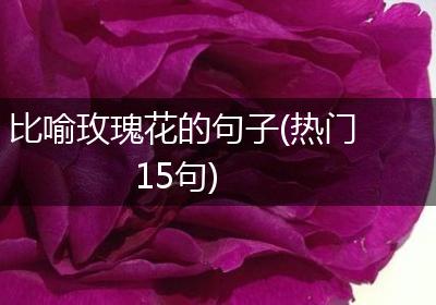 比喻玫瑰花的句子(热门15句)