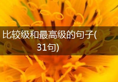 比较级和最高级的句子(31句)