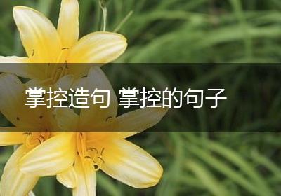 掌控造句 掌控的句子