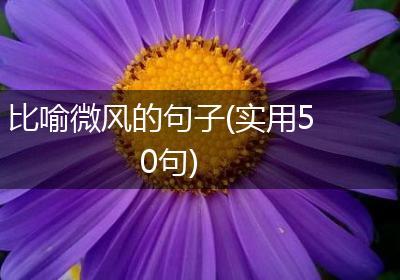 比喻微风的句子(实用50句)