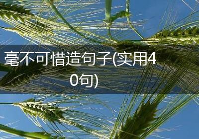 毫不可惜造句子(实用40句)