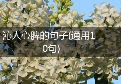 沁人心脾的句子(通用10句)