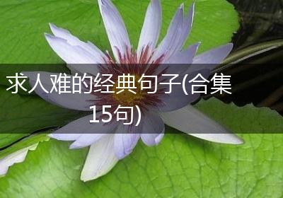 求人难的经典句子(合集15句)