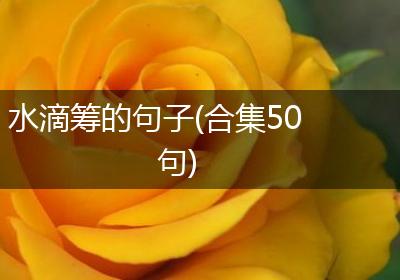 水滴筹的句子(合集50句)