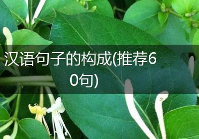 汉语句子的构成(推荐60句)