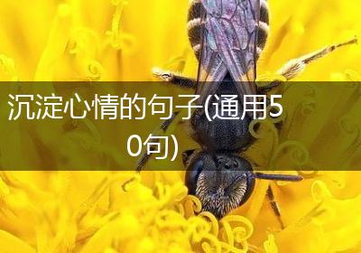 沉淀心情的句子(通用50句)