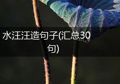 水汪汪造句子(汇总30句)