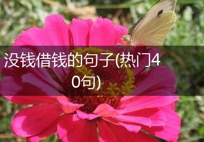没钱借钱的句子(热门40句)
