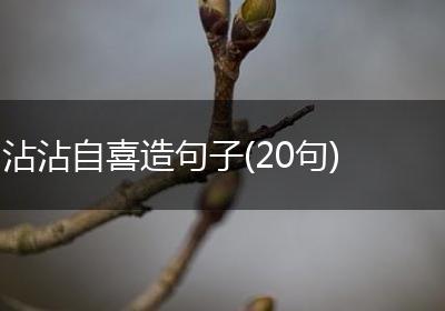 沾沾自喜造句子(20句)