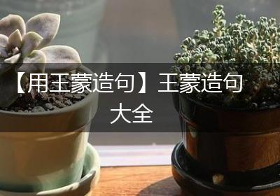 【用王蒙造句】王蒙造句大全