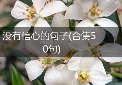 没有信心的句子(合集50句)