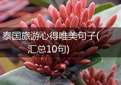 泰国旅游心得唯美句子(汇总10句)