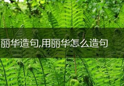丽华造句,用丽华怎么造句