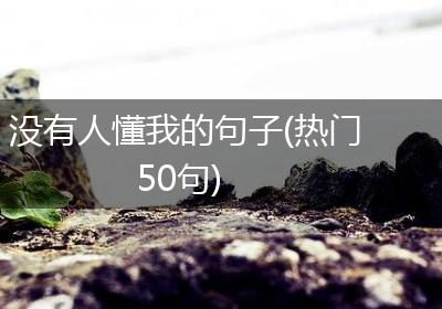 没有人懂我的句子(热门50句)