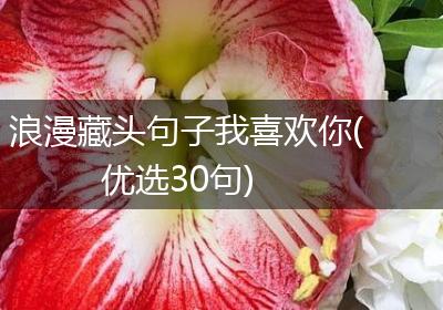 浪漫藏头句子我喜欢你(优选30句)