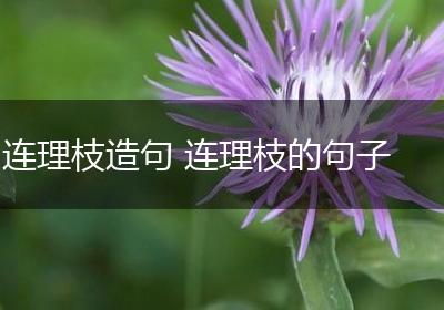 连理枝造句 连理枝的句子