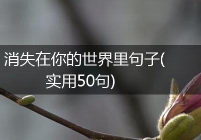 消失在你的世界里句子(实用50句)