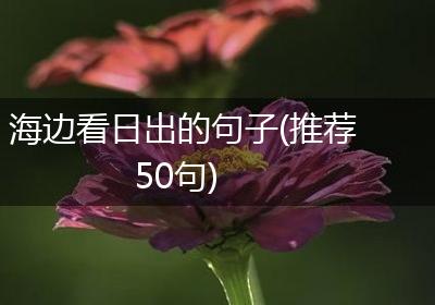海边看日出的句子(推荐50句)