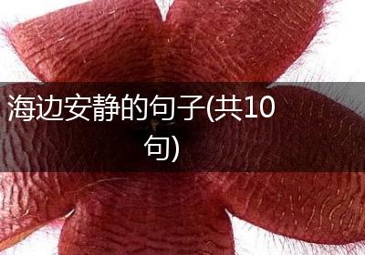 海边安静的句子(共10句)
