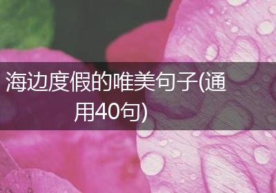 海边度假的唯美句子(通用40句)
