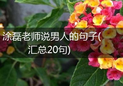涂磊老师说男人的句子(汇总20句)