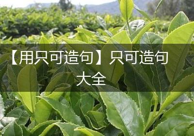 【用只可造句】只可造句大全