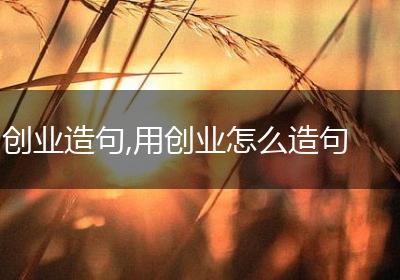 创业造句,用创业怎么造句