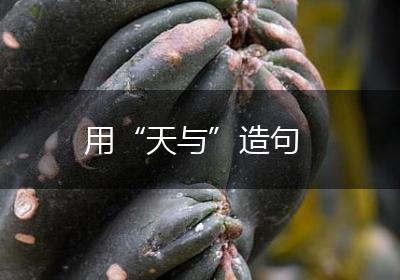 用“天与”造句