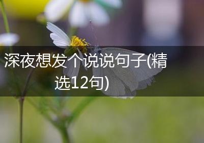 深夜想发个说说句子(精选12句)