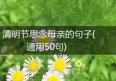 清明节思念母亲的句子(通用50句)