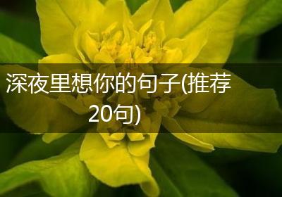 深夜里想你的句子(推荐20句)
