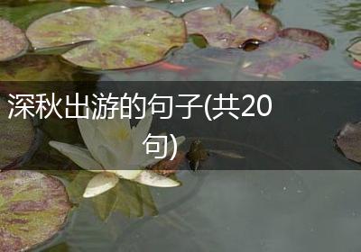 深秋出游的句子(共20句)