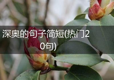 深奥的句子简短(热门20句)