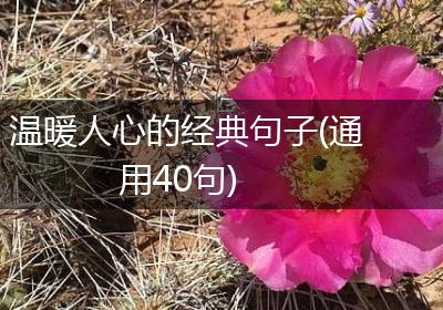 温暖人心的经典句子(通用40句)
