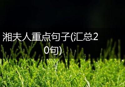 湘夫人重点句子(汇总20句)