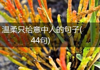 温柔只给意中人的句子(44句)