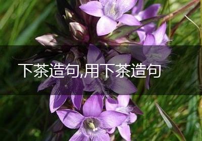 下茶造句,用下茶造句
