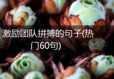 激励团队拼搏的句子(热门60句)