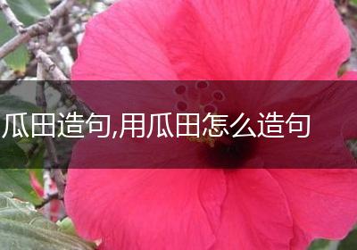 瓜田造句,用瓜田怎么造句