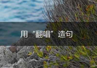用“翻唱”造句