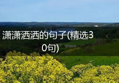 潇潇洒洒的句子(精选30句)
