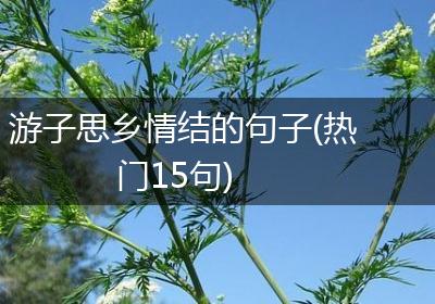 游子思乡情结的句子(热门15句)