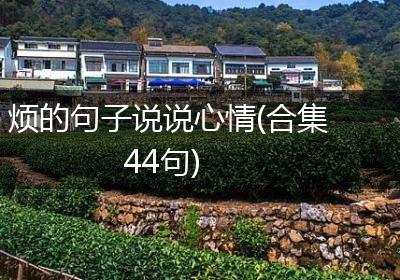 烦的句子说说心情(合集44句)