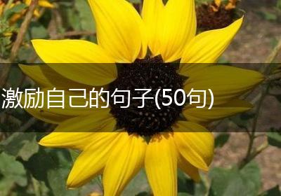 激励自己的句子(50句)