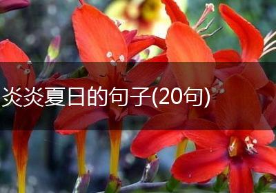 炎炎夏日的句子(20句)