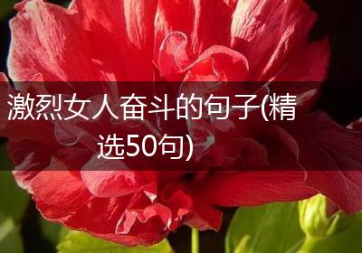 激烈女人奋斗的句子(精选50句)