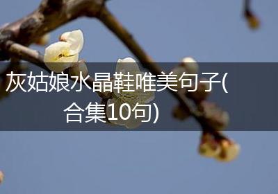 灰姑娘水晶鞋唯美句子(合集10句)
